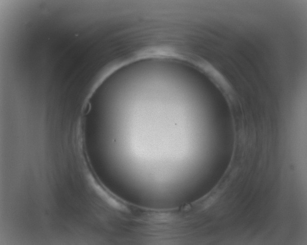 X0000083591382200702091142