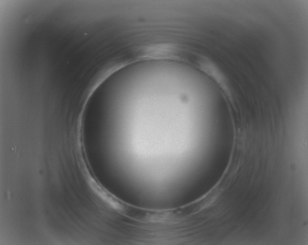 X0000083591386200702091142