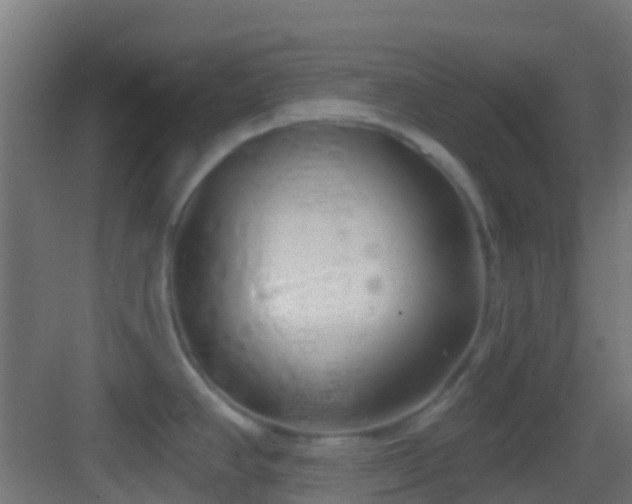 X0000083591390200702091142