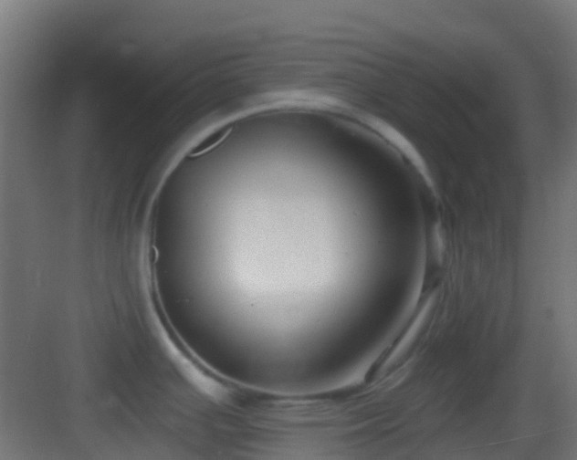 X0000083591391200702091142