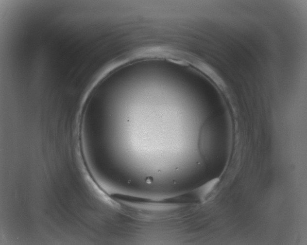 X0000083591392200702091142
