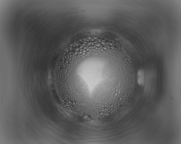 X0000083591395200702091141