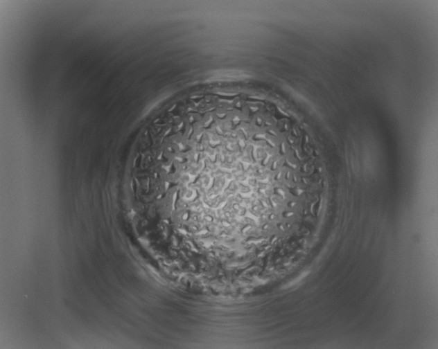 X0000083591401200702091141