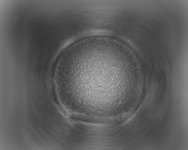 X0000083591405200702091141