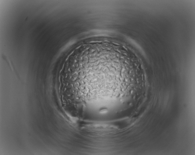 X0000083591411200702091141