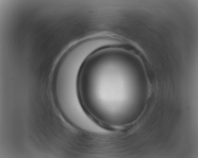 X0000083591414200702091141