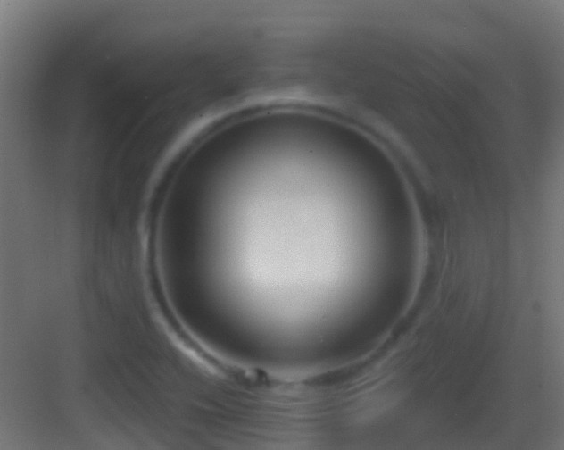 X0000083591416200702091141