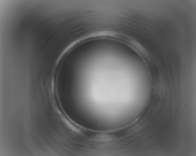 X0000083591420200702091141