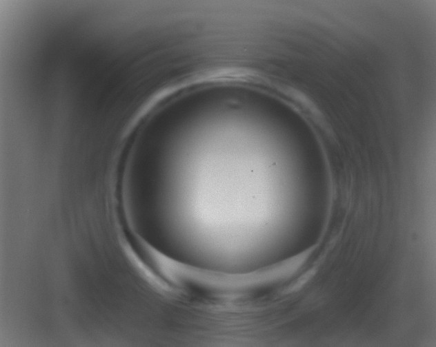 X0000083591422200702091141