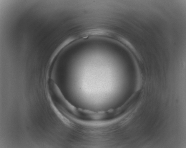 X0000083591426200702091142