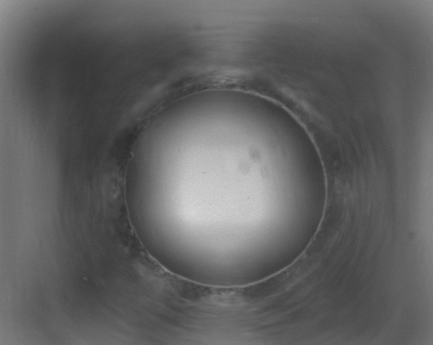 X0000083591447200702091141