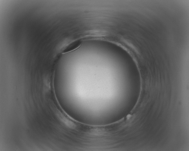 X0000083591451200702091141