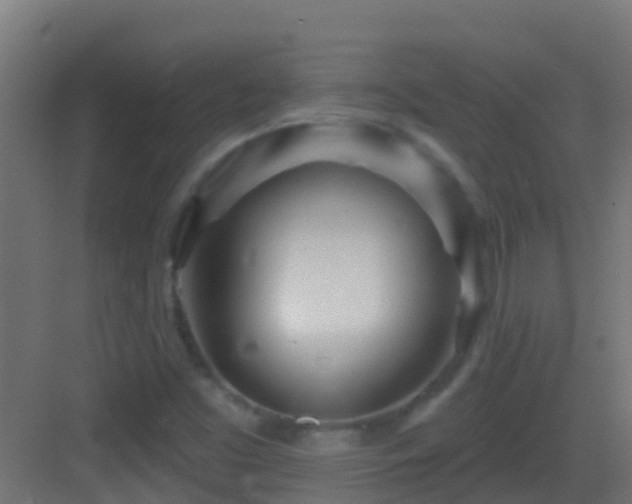 X0000083591453200702091141
