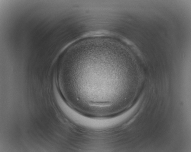 X0000083591457200702091141