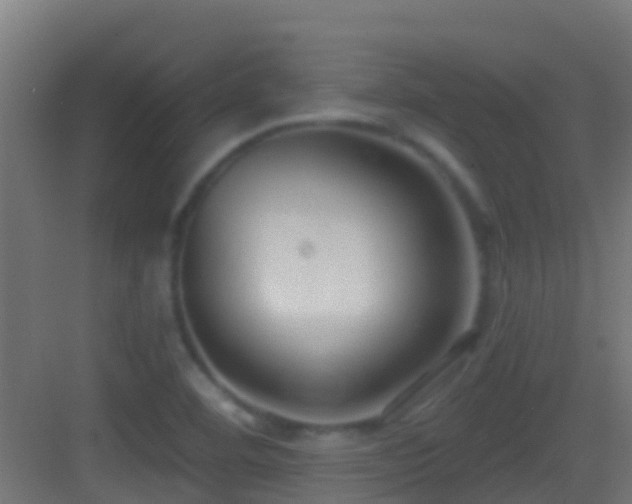 X0000083591460200702091141