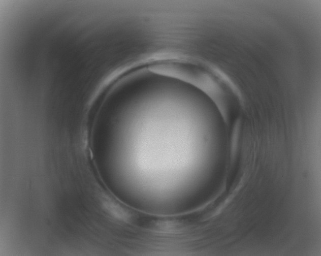 X0000083591461200702091141
