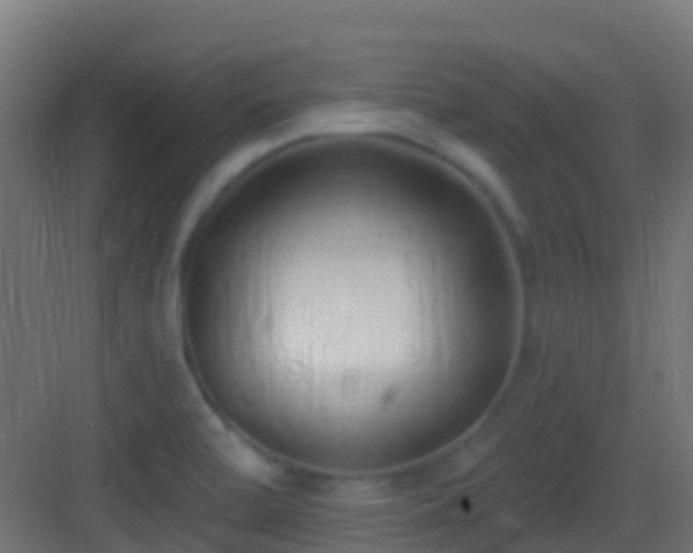 X0000083591472200702091140