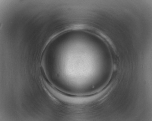 X0000083591473200702091140