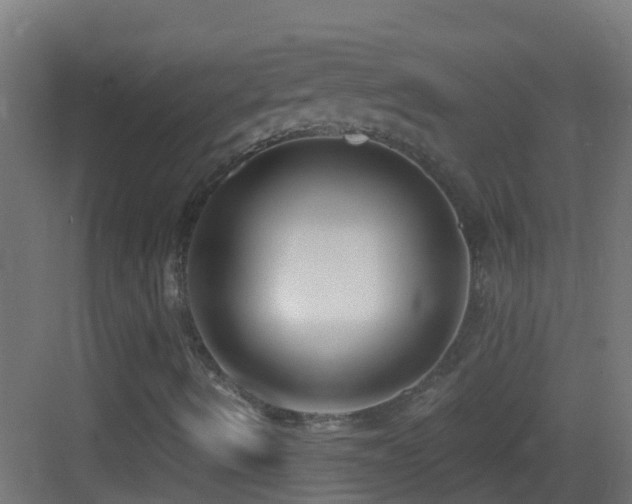X0000083591490200702091139