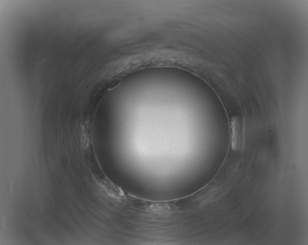 X0000083591491200702091139