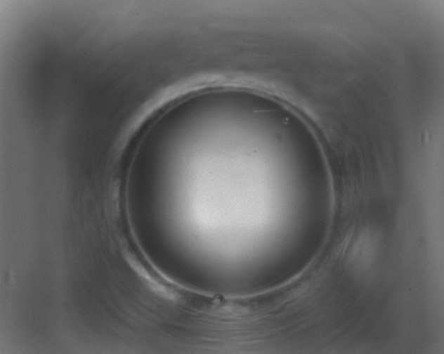 X0000083591503200702091140