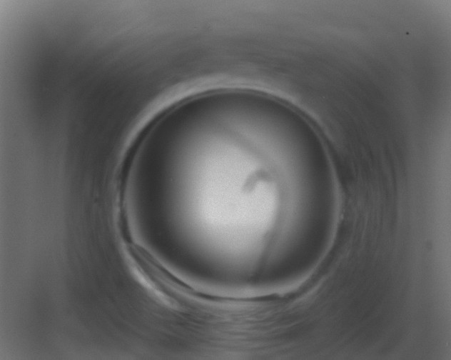 X0000083591511200702091140
