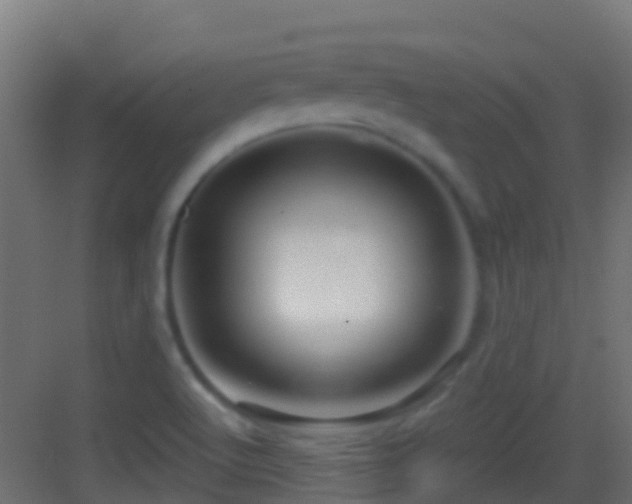 X0000083591512200702091140