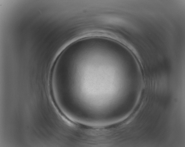 X0000083591533200702091140