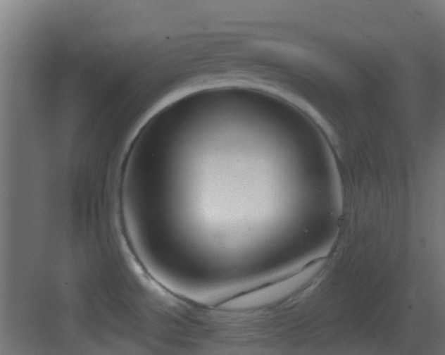 X0000083591534200702091140