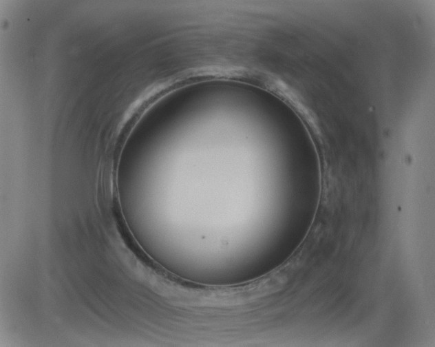 X0000083590011200702162155