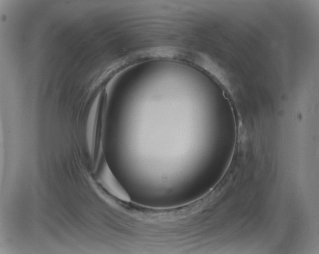 X0000083590013200702162155