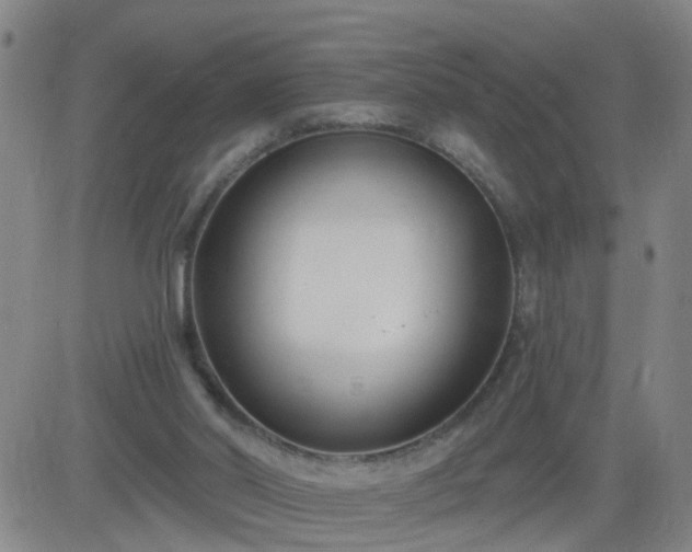 X0000083590014200702162155