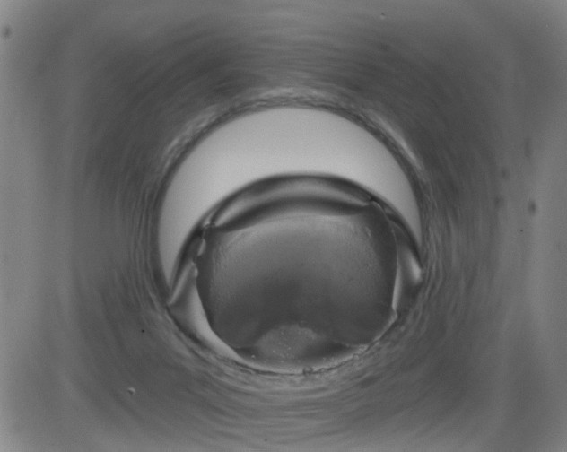 X0000083590023200702162155