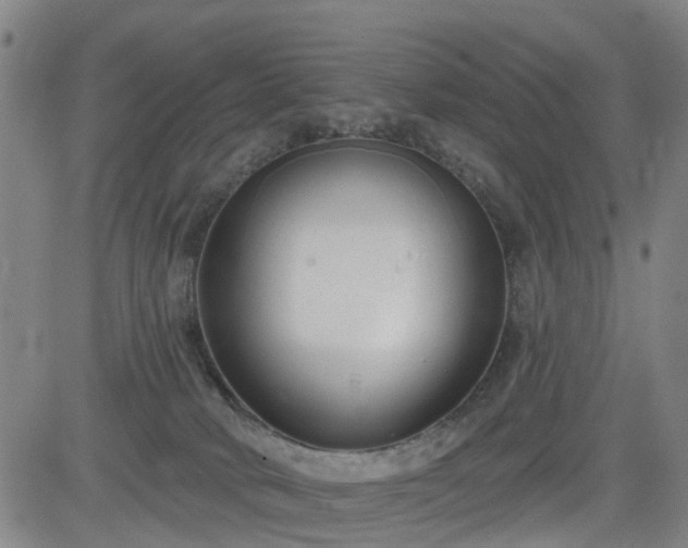 X0000083590034200702162154