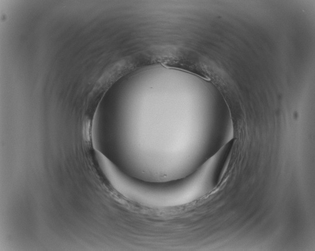 X0000083590041200702162154