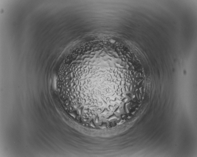 X0000083590046200702162154