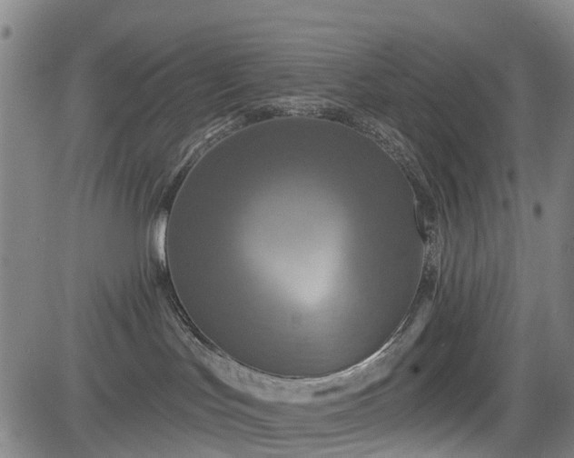 X0000083590047200702162154