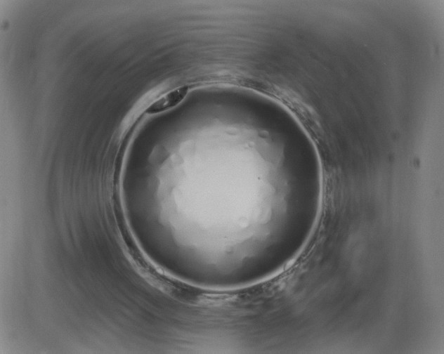 X0000083590051200702162153