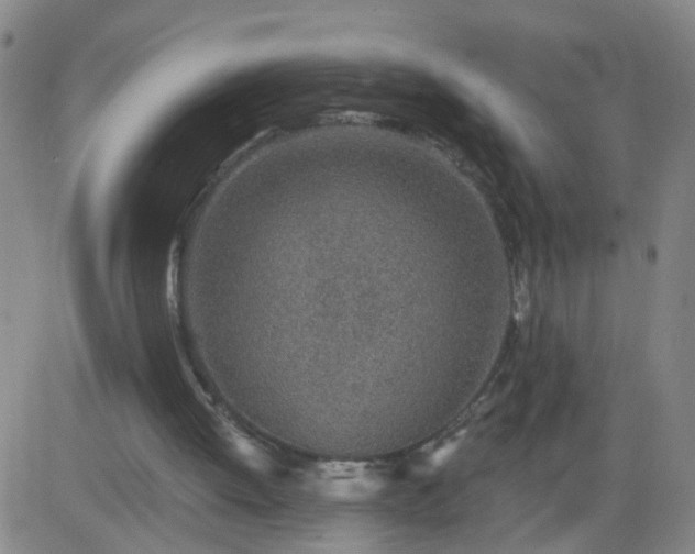 X0000083590052200702162153