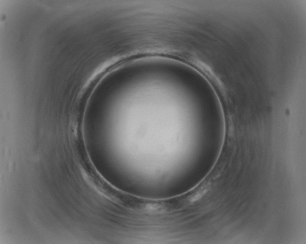 X0000083590060200702162154