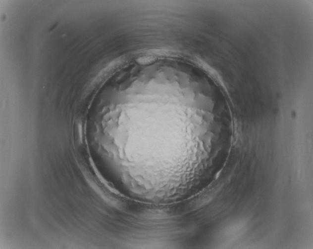 X0000083590061200702162154