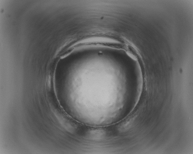 X0000083590067200702162154