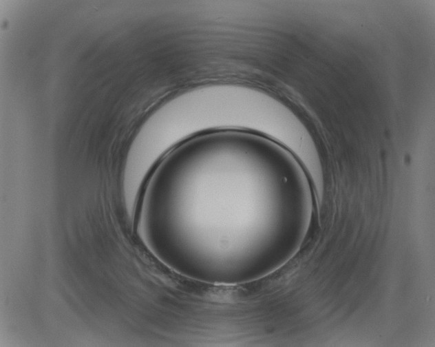 X0000083590076200702162154
