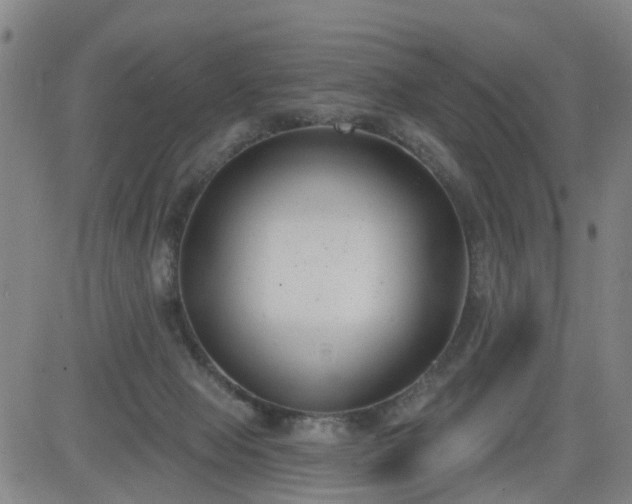 X0000083590077200702162154