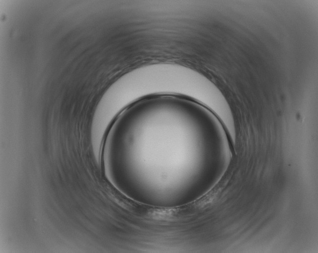 X0000083590084200702162154