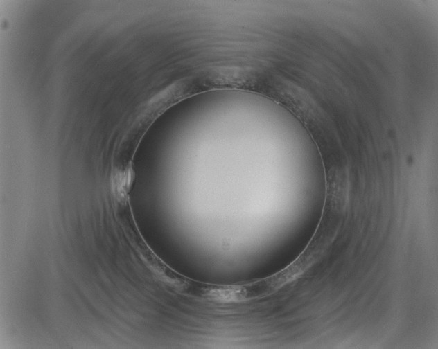 X0000083590089200702162154