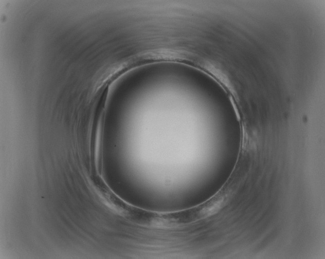 X0000083590109200702162153