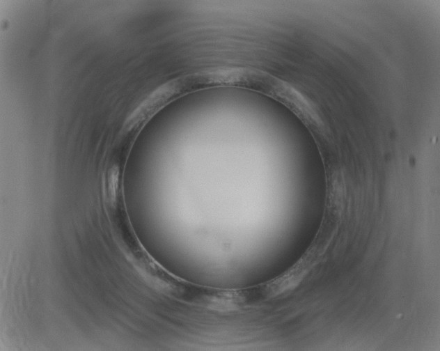 X0000083590118200702162153