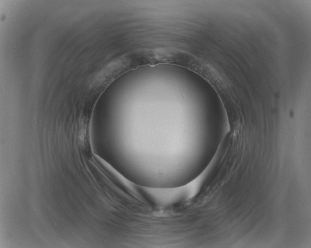 X0000083590129200702162153