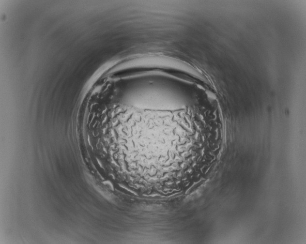 X0000083590147200702162152